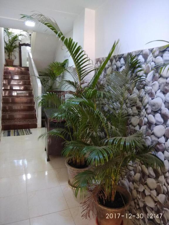 Alegro Holiday Homes Palolem Extérieur photo